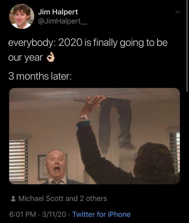 The 12 Months of 2020