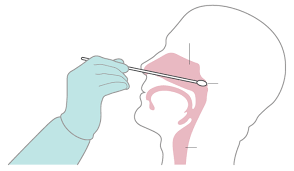 How Covid-19 Testing Works