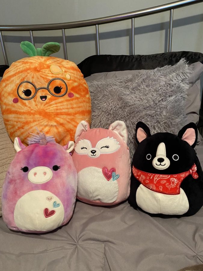 Writer Emily McLaughlins growing Squishmallow collection. She started her collection with the coveted Valentines Day Squishmallows.