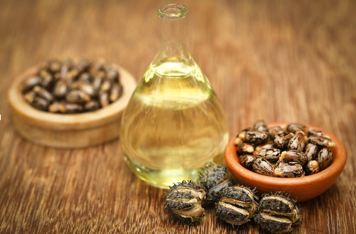 Why are People so Interested in Castor Oil Recently?