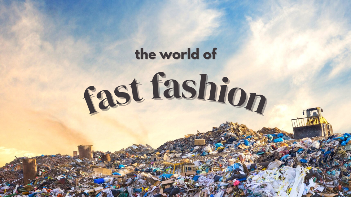 The Effects of Fast Fashion